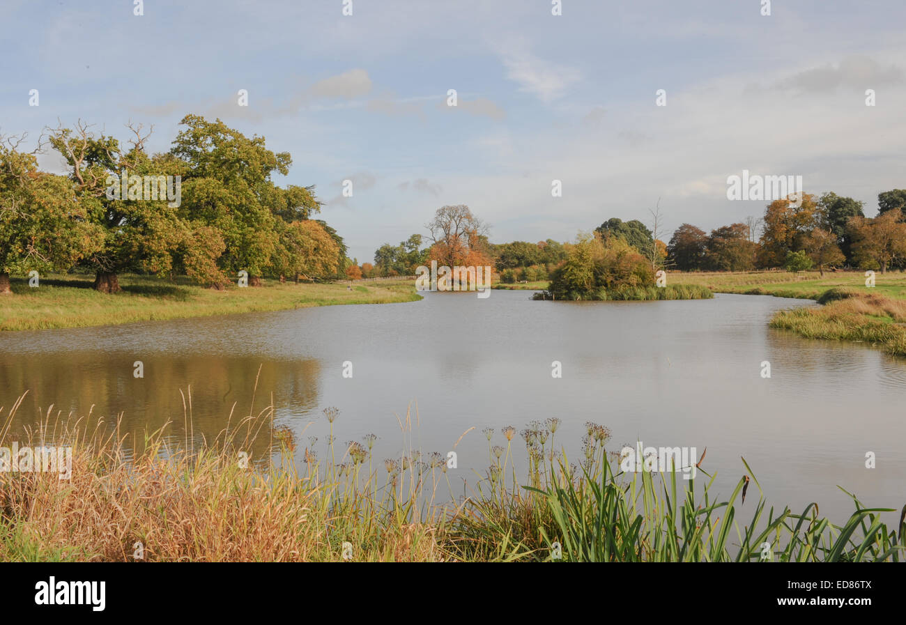 Blick über den See am Charlecote Park, Warwickshire, England, UK Stockfoto