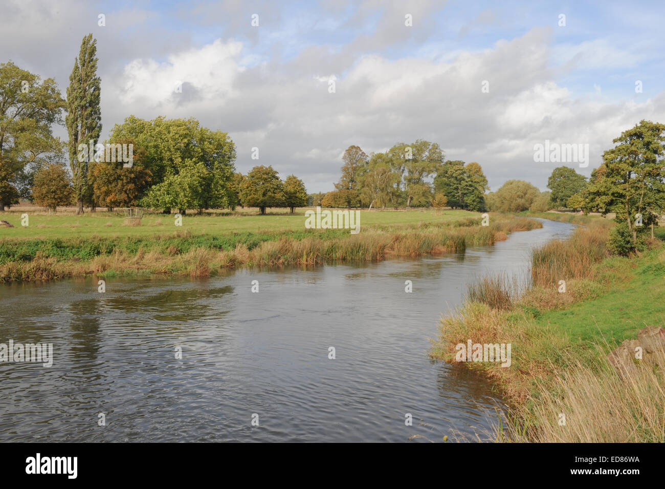 Blick auf den Fluss Avon aus Charlecote Park, Warwickshire, England, UK Stockfoto