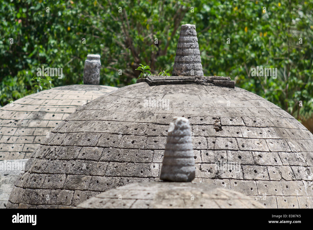 Kathurogoda alten Vihara, Distrikt Jaffna, Sri Lanka: eine Ansammlung von mehreren kleinen Stein Dagobas in einem mysteriösen alten Buddhi Stockfoto