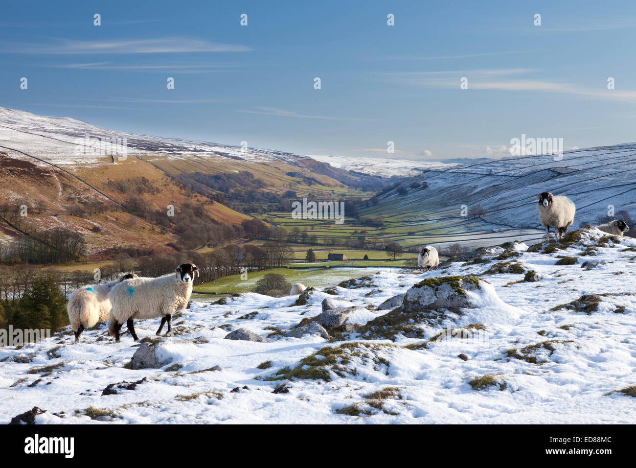 Littondale unter Schnee in den Yorkshire Dales, England. Stockfoto