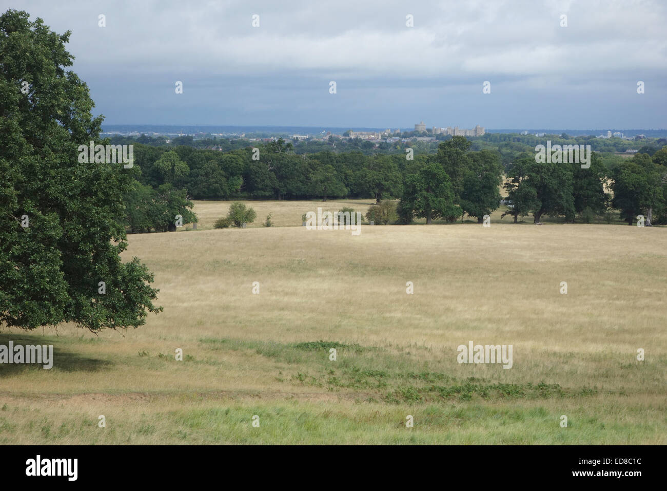 Magische Aussicht vom großen Park von Windsor Castle In Entfernung &amp; Umgebung zeigt angelegte Fahrten Stockfoto