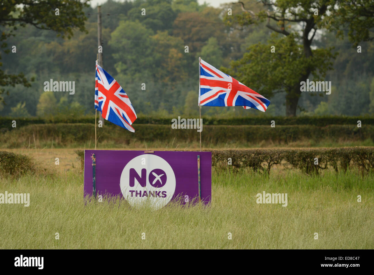 Schottische Unabhängigkeit - lila "Nein Danke" schottischen Unabhängigkeitsreferendum Zeichen verziert mit Union Jack-Flaggen in Stirlingshire Bereich 2014 Stockfoto