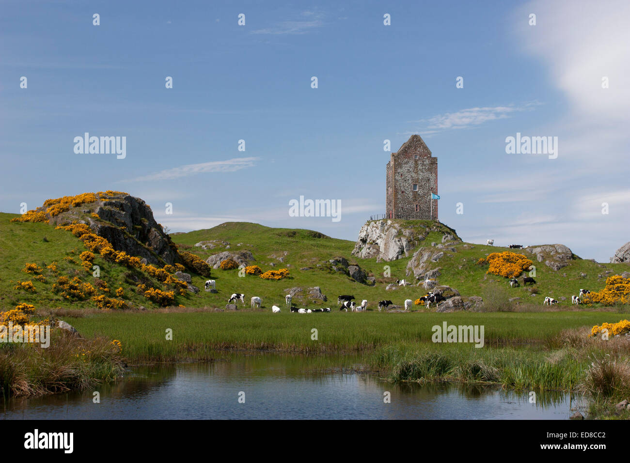 Großbritannien, Schottland, Roxburghshire, Kelso, Haus Hof, Smailholm Turm Stockfoto