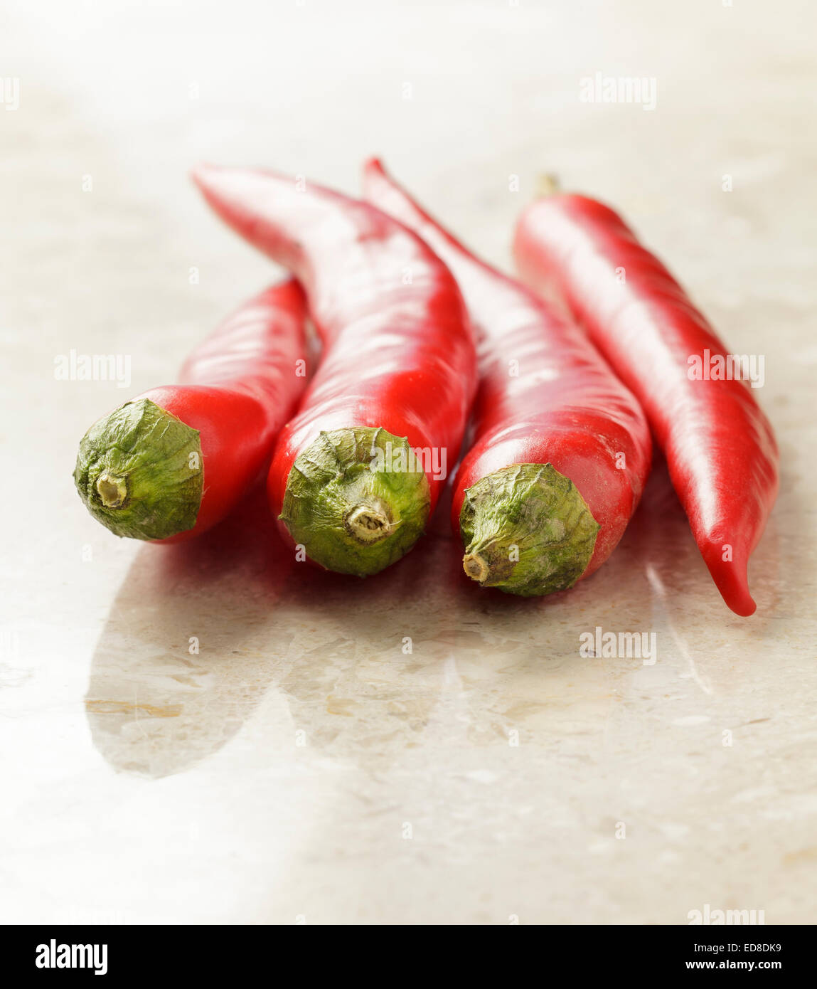 Rote chilis Stockfoto