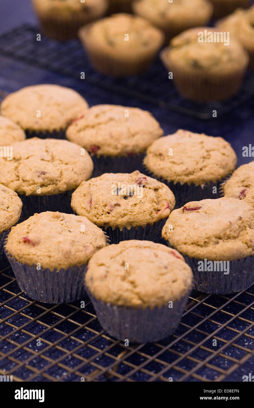 Muffins auf einem kühlenden Tablett. Stockfoto