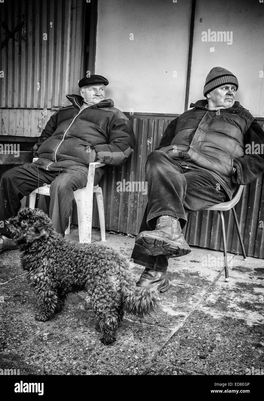 Zwei Männer und ein Hund auf Rozycki Basar Stockfoto
