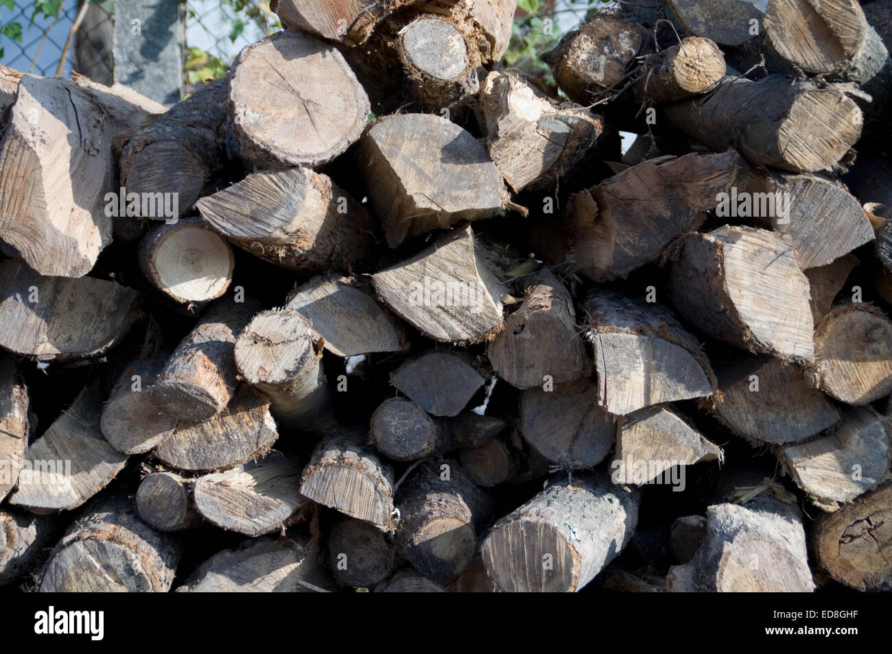 Holzschnitt auf dem Betriebshof des Protokolls und zum Verkauf bereit. Stockfoto