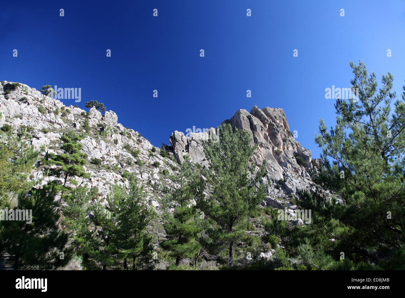 Schroffe Berggipfel und Pinien prägen die kretische Landschaft Stockfoto