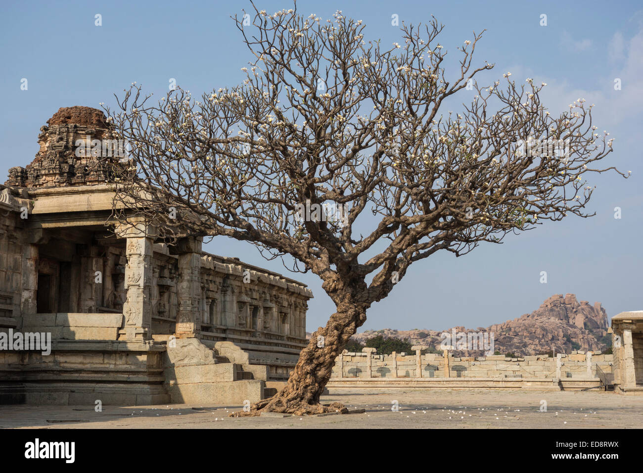 AD-1534, ist dieser Tempel ein Beispiel der Vijayanagara Tempelarchitektur Stockfoto