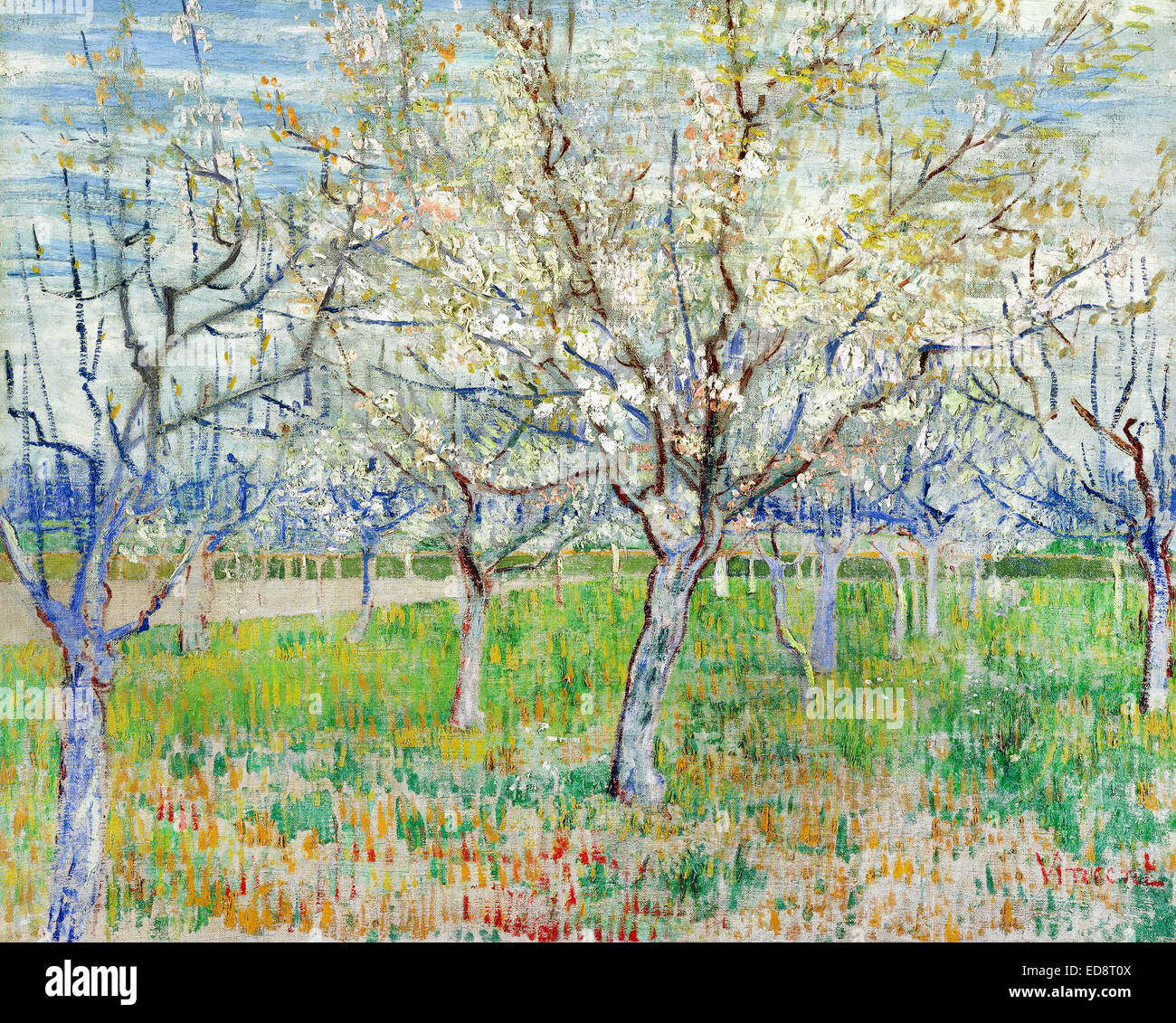 Vincent Van Gogh, The Pink Obstgarten 1888 Öl auf Leinwand. Van Gogh Museum, Amsterdam, Niederlande. Stockfoto