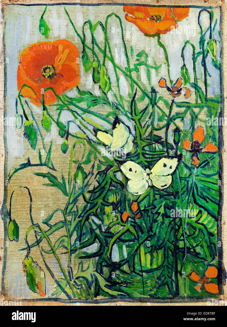 Vincent Van Gogh, Mohn und Schmetterlinge. 1890. Post-Impressionismus. Öl auf Leinwand. Van Gogh Museum, Amsterdam, Niederlande. Stockfoto