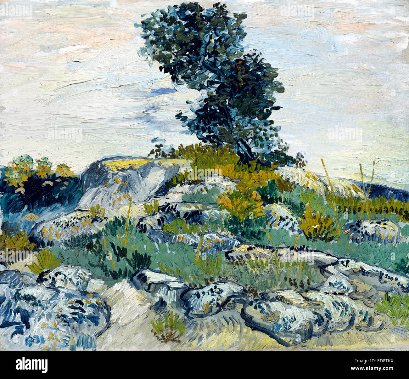 Vincent Van Gogh, The Rocks (Felsen mit Oak Tree) 1888 Öl auf Leinwand. Museum of Fine Arts, Houston, Texas, USA. Stockfoto