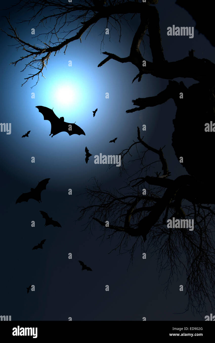 dramatische Nachtszene mit toten Baum und fliegende Fledermäuse in der Silhouette mit einem hellen Licht vom Mond Stockfoto