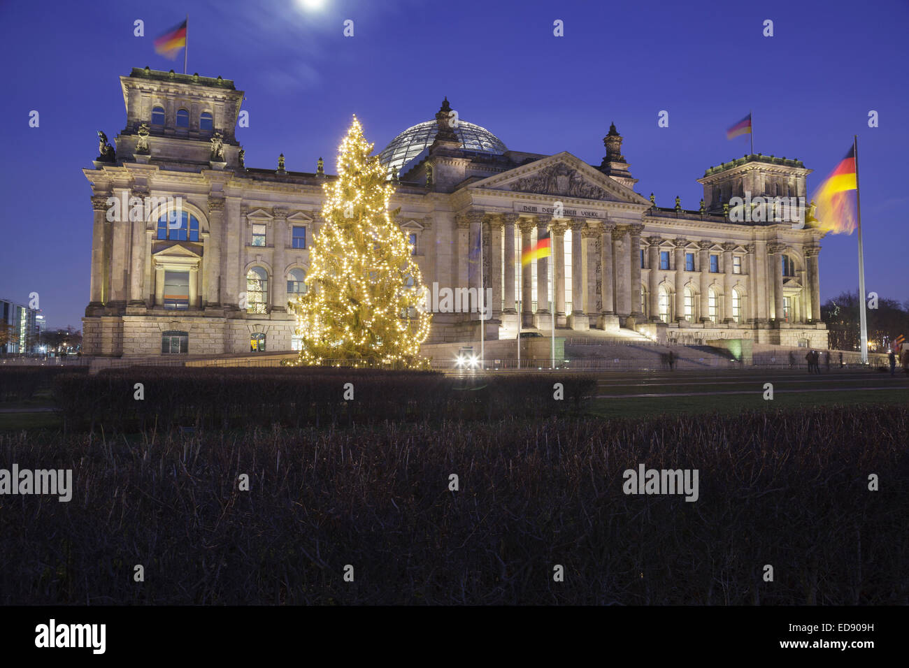 Reichstag mit Weihnachtsbaum, Berlin, Deutschland Stockfoto