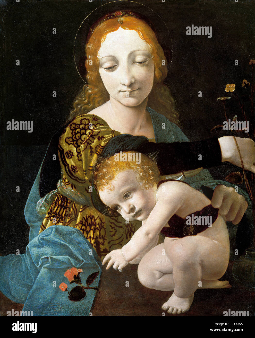Giovanni Antonio Boltraffio, die Jungfrau und Kind (Madonna mit der Rose) 1480 Panel. Museo Poldi Pezzoli, Mailand, Italien. Stockfoto
