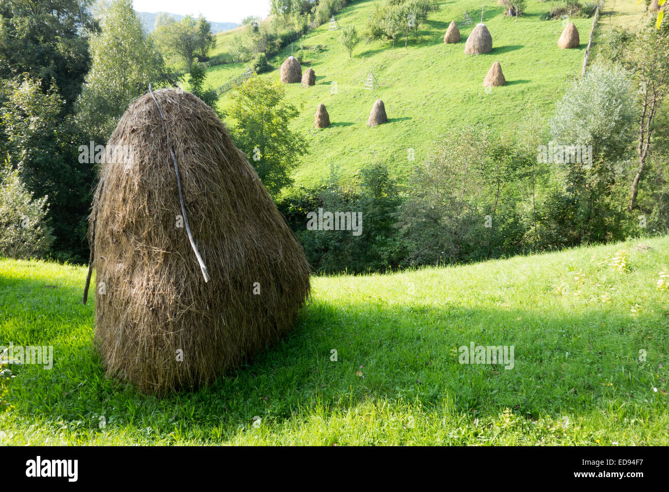 Heuhaufen im rumänischen Tal Stockfoto