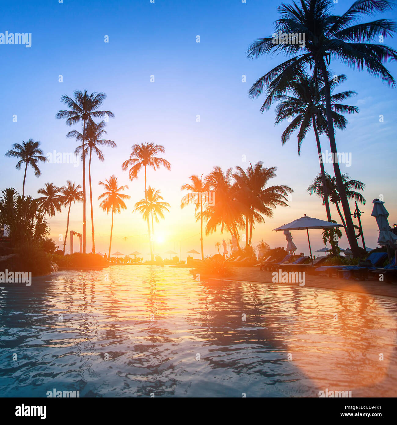 Schöner Sonnenuntergang an einem tropischen Strand. Stockfoto