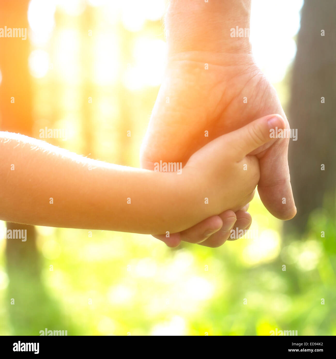 Erwachsene halten eine Kinderhand, close-up Hände, Natur im Hintergrund. Stockfoto