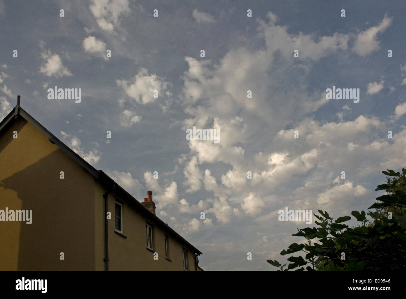 Altocumulus über Bradninch in Devon Stockfoto