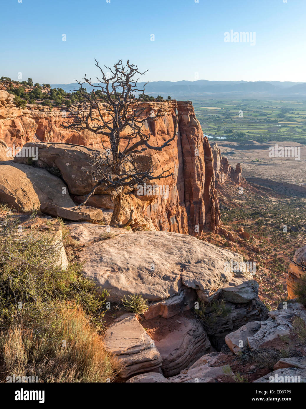 Buchen Sie Klippen Blick in Colorado National Monument. Colorado. USA Stockfoto