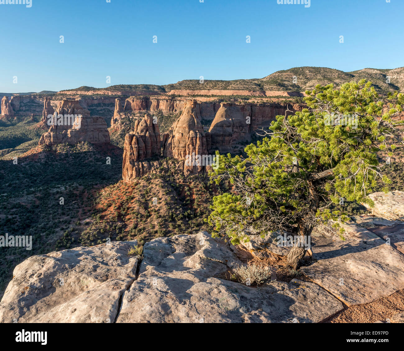 Buchen Sie Klippen Blick in Colorado National Monument. Colorado. USA Stockfoto