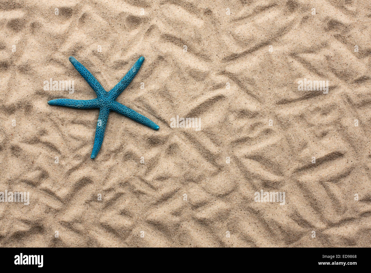 Seestern auf dem Sand liegen können als Hintergrund verwendet werden Stockfoto