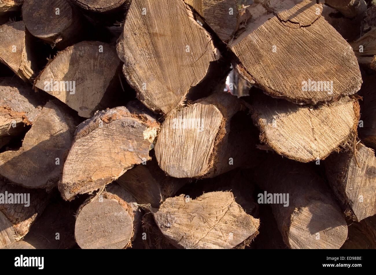 Holzschnitt auf dem Betriebshof des Protokolls und zum Verkauf bereit. Stockfoto