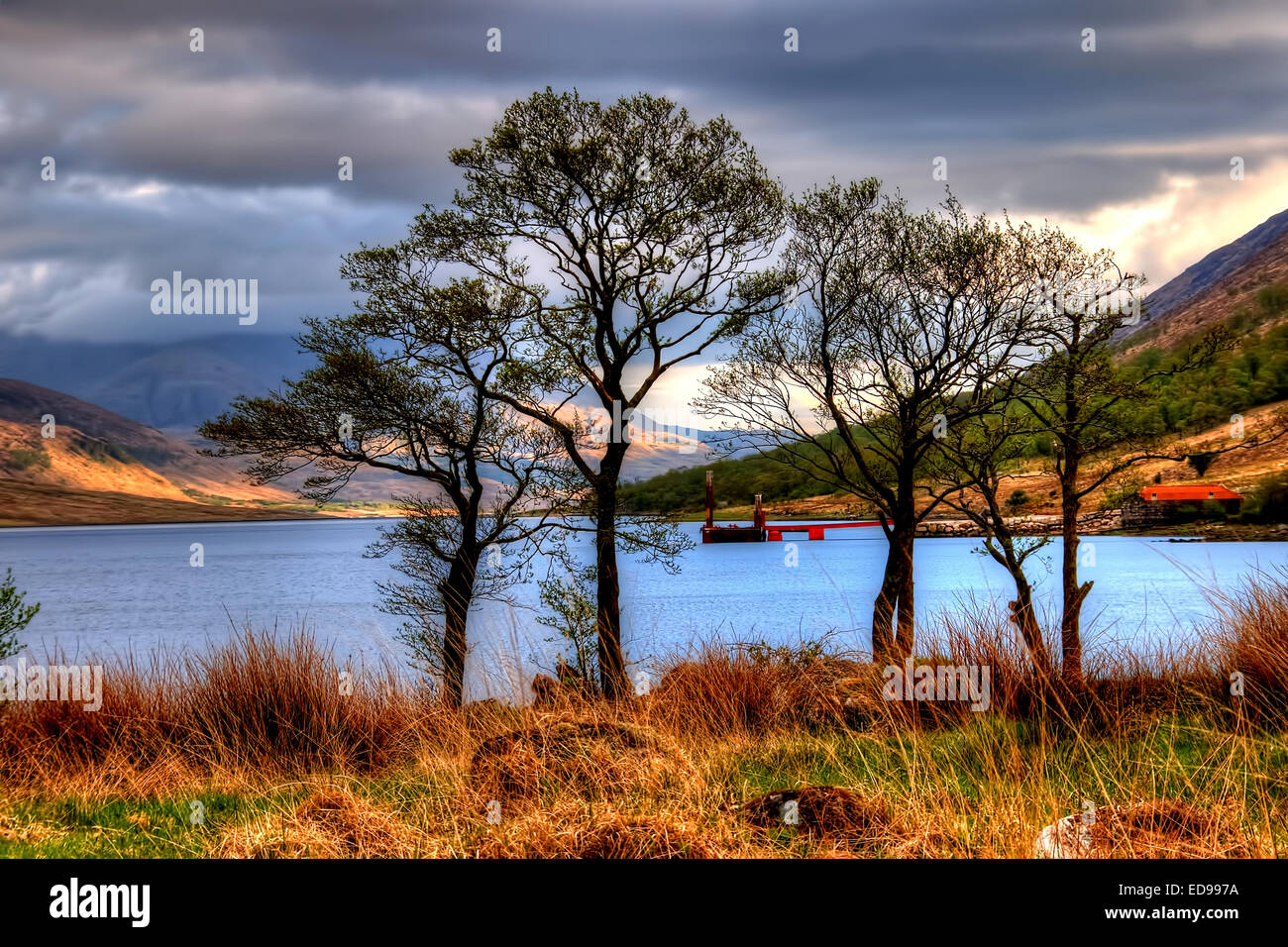 Loch Etive in den Highlands von Schottland Stockfoto