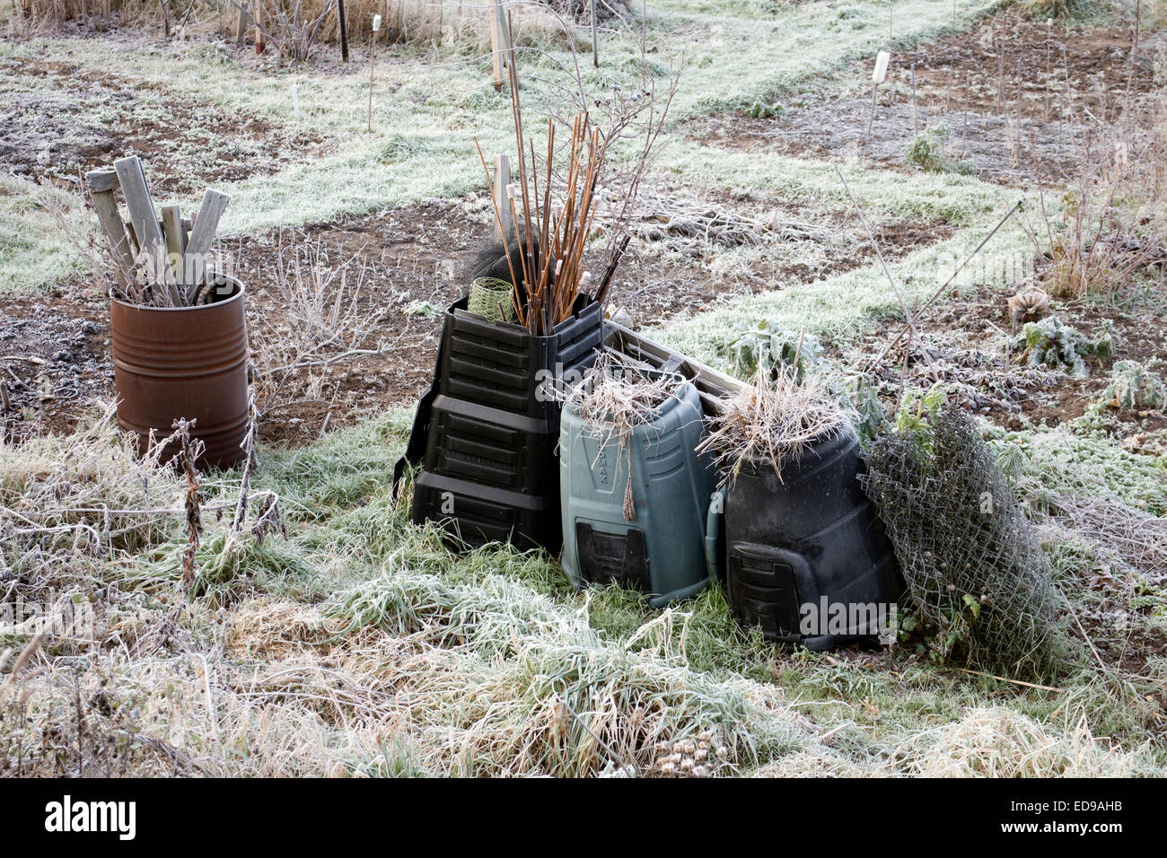 Kleingärten im Winter, Warwick, UK Stockfoto