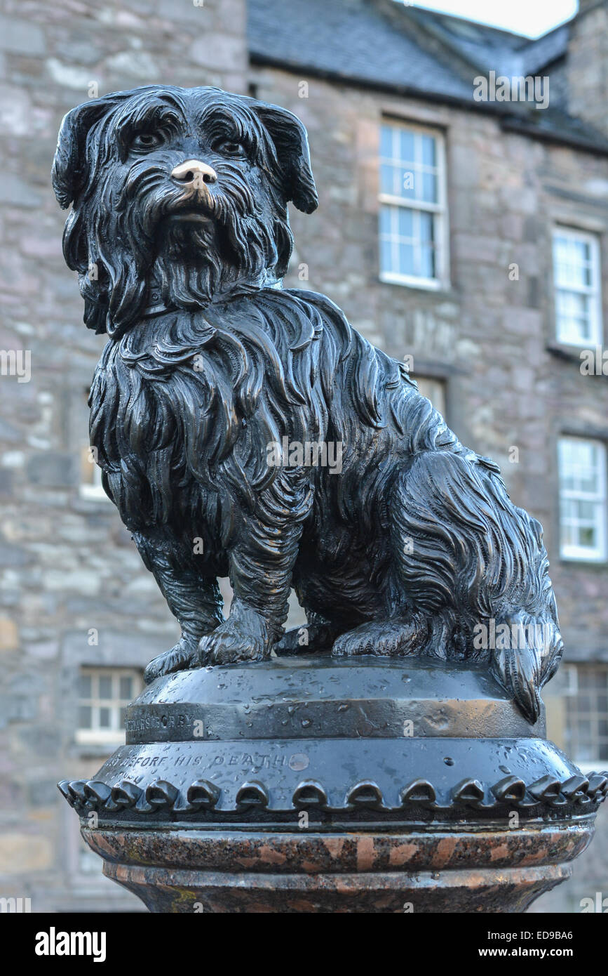 Nahaufnahme von Greyfriars Bobby Statue, Edinburgh, Schottland mit abgenutzten glänzende Nase Stockfoto