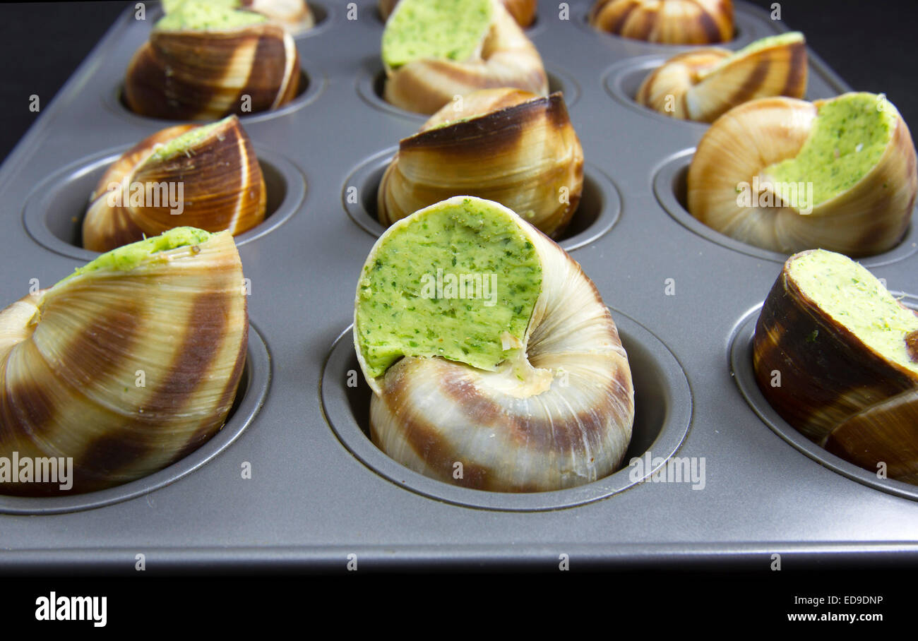 Schnecken in Schalen gefüllt mit Butter und Petersilie in Mini Muffinformen Stockfoto