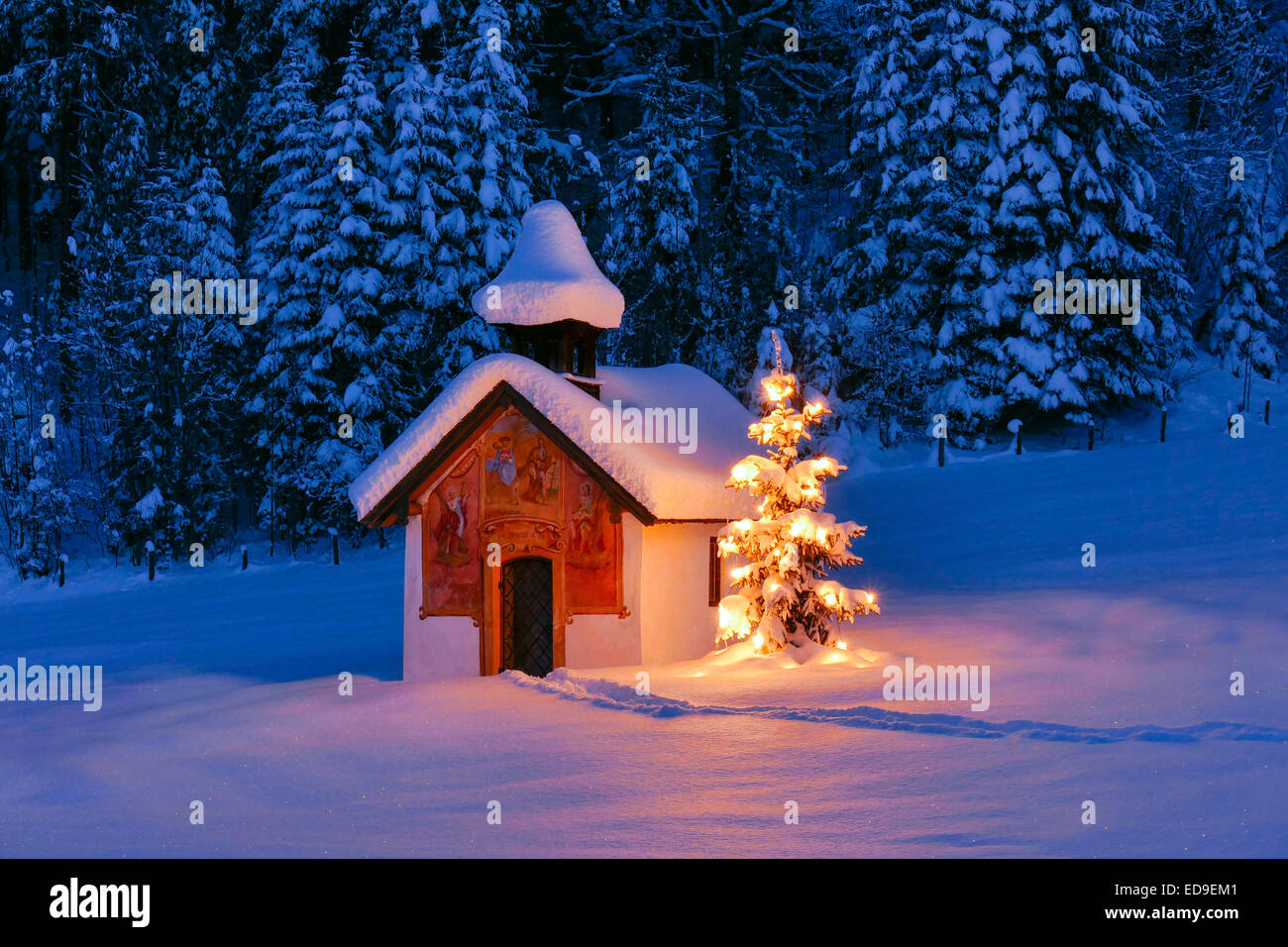 Beleuchtete Weihnachtsbaum vor einer Kapelle im Winter, Bayern, Oberbayern, Deutschland, Europa Stockfoto
