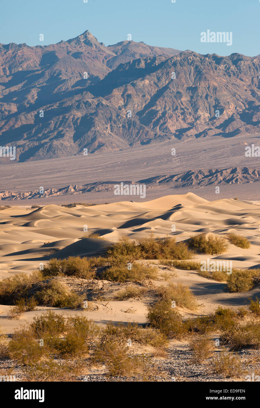 Der Wind türmt sich Sand am Talboden Stockfoto