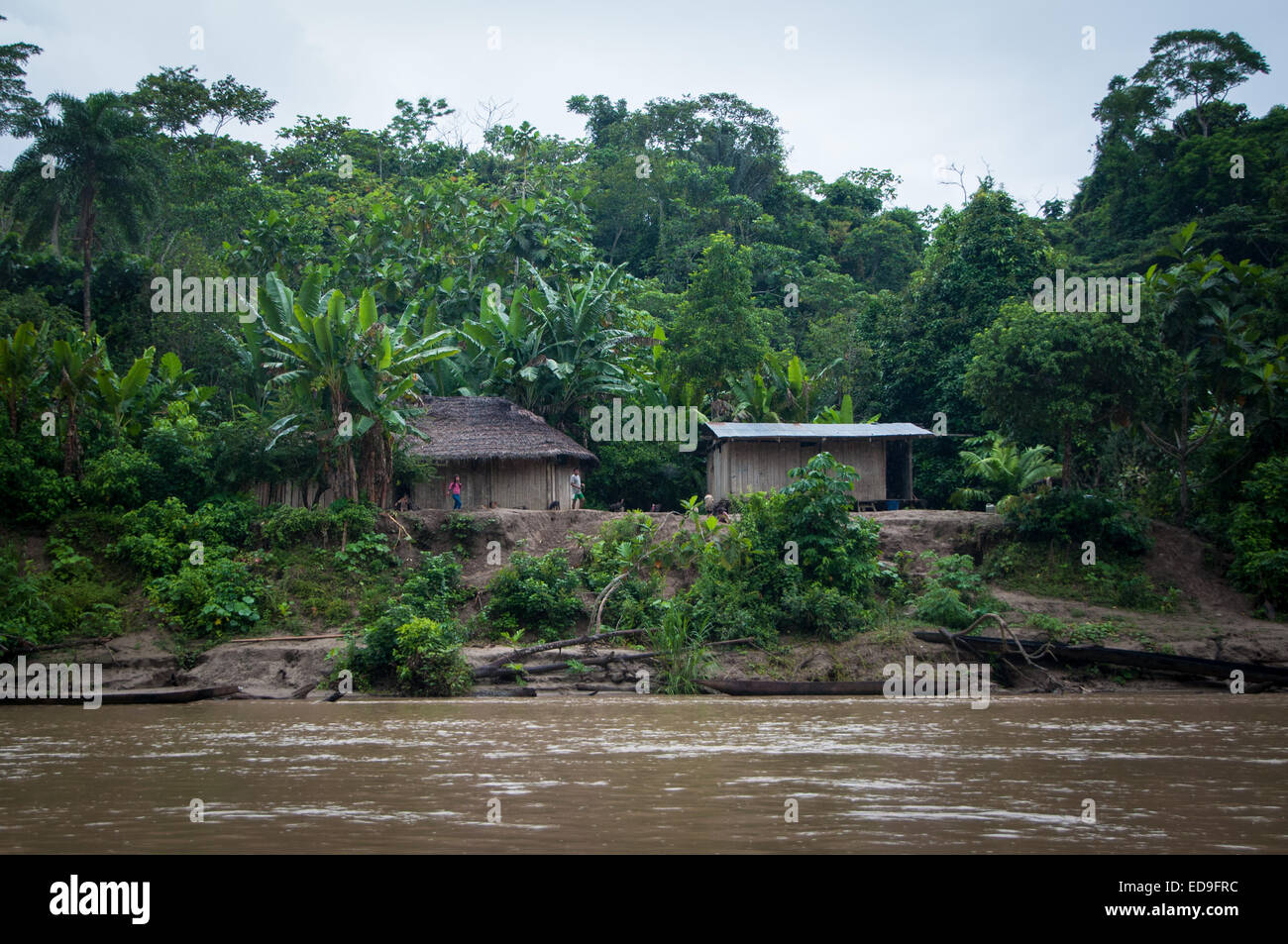 Typische Häuser entlang dem Fluss Maranon in der Amazonas-Dschungel-Region Norden Perus Stockfoto
