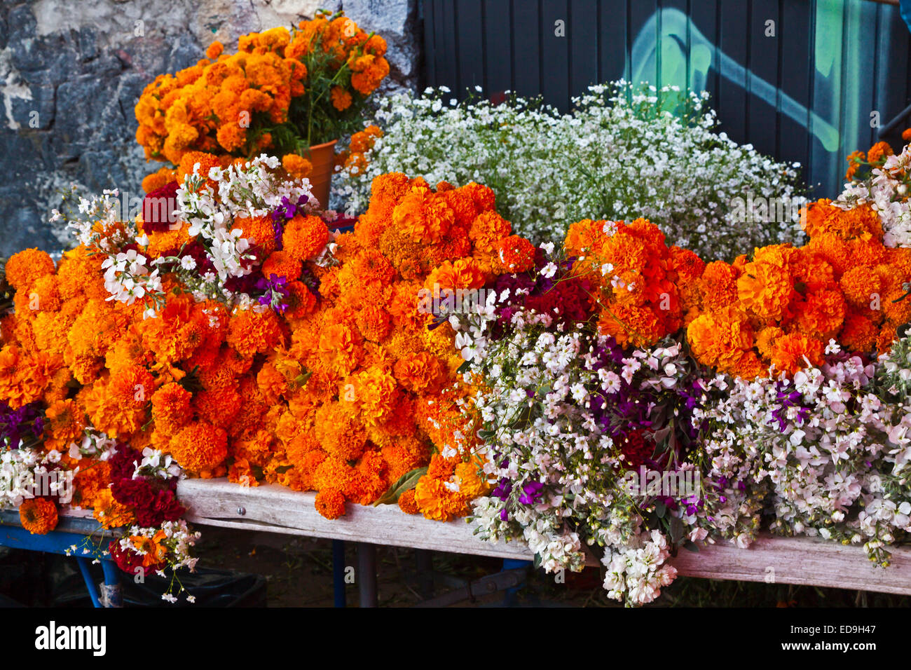 Blumen zum Verkauf bei DAY OF THE DEAD - SAN MIGUEL DE ALLENDE, Mexiko Stockfoto
