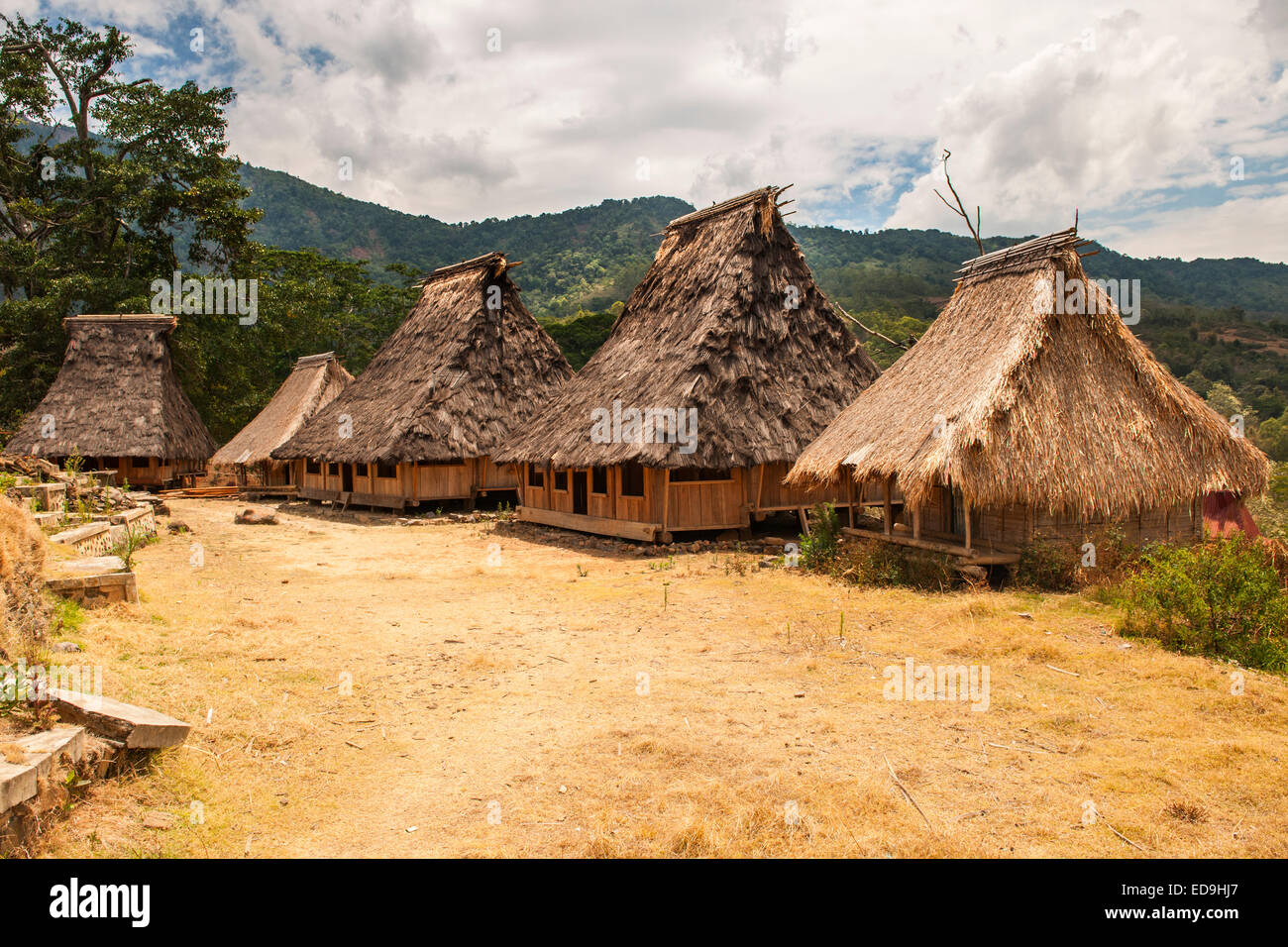 Wologai traditionelles Dorf der Insel Flores, Indonesien. Stockfoto