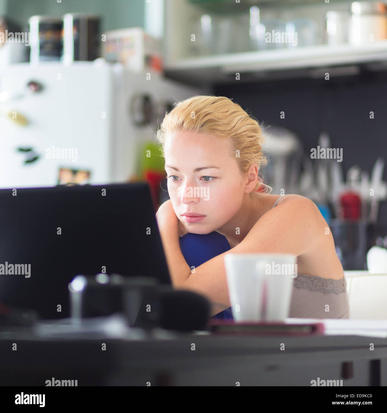 Weibliche Freiberufler arbeiten von zu Hause aus. Stockfoto