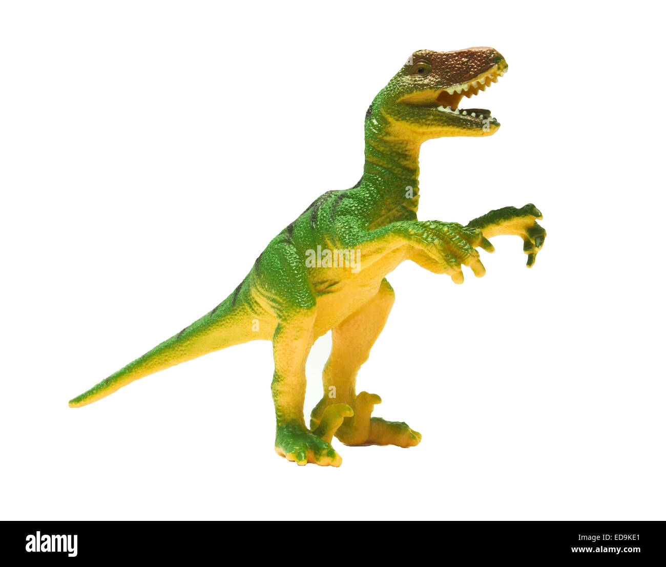 Spielzeug Dinosaurier isoliert auf weißem Hintergrund Stockfoto