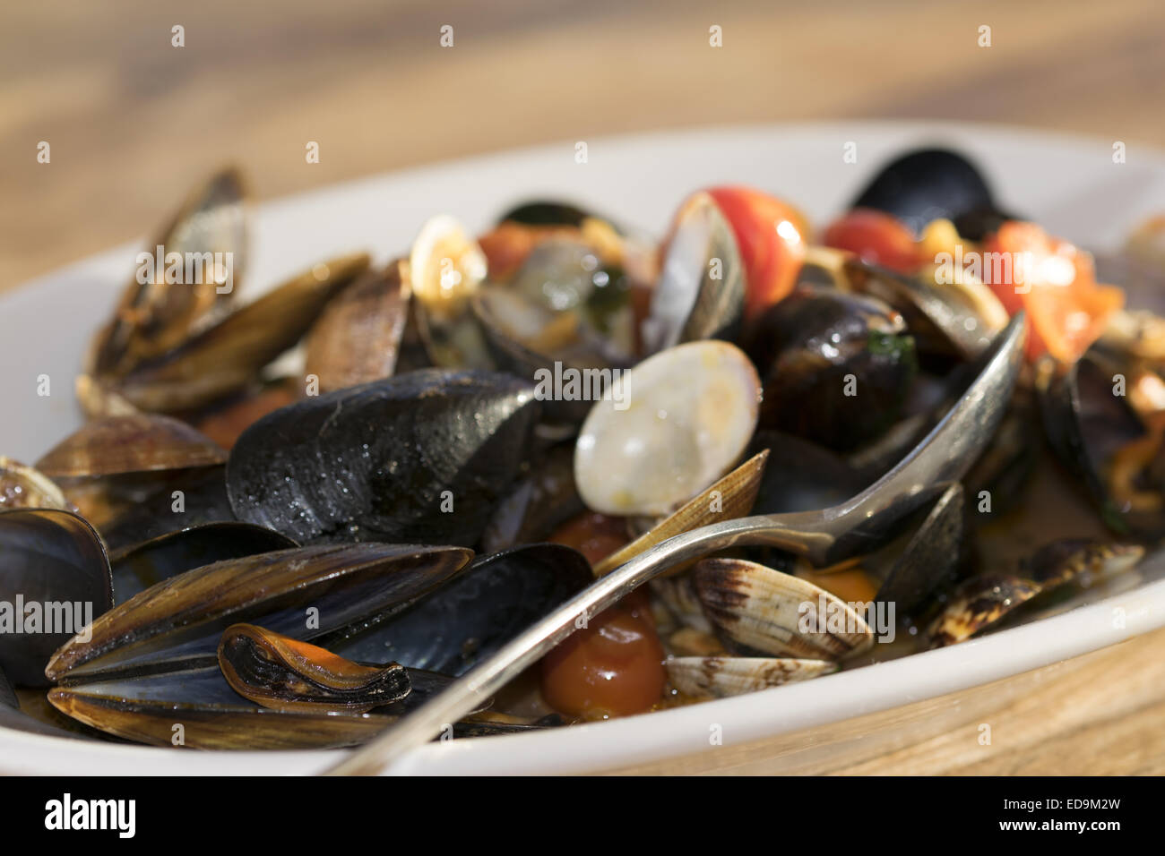 Spaghetti mit muscheln und muscheln -Fotos und -Bildmaterial in hoher ...