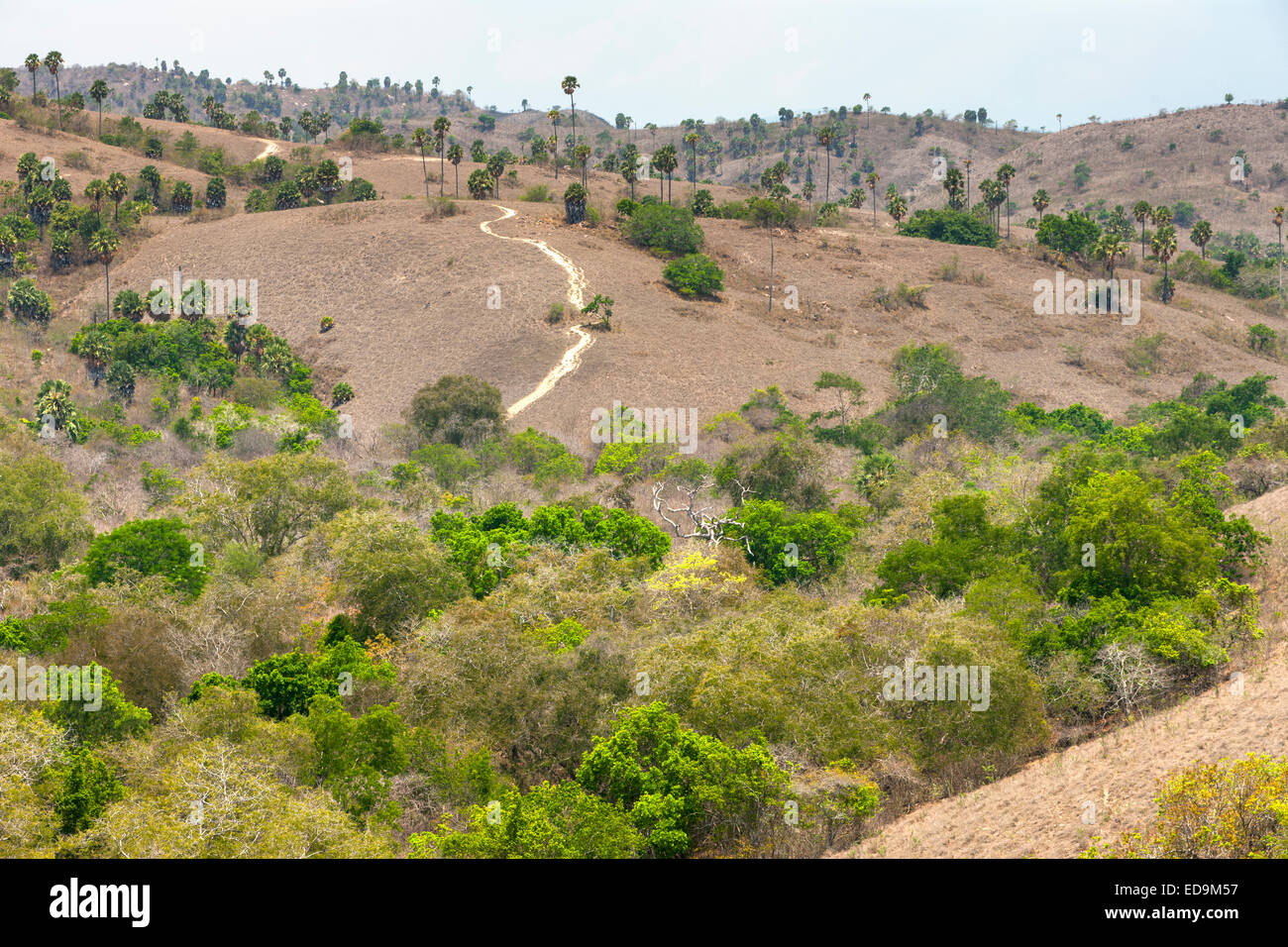 Landschaft Landschaft des Komodo Nationalparks auf Rinca Island, East Nusa Tenggara, Indonesien. Stockfoto