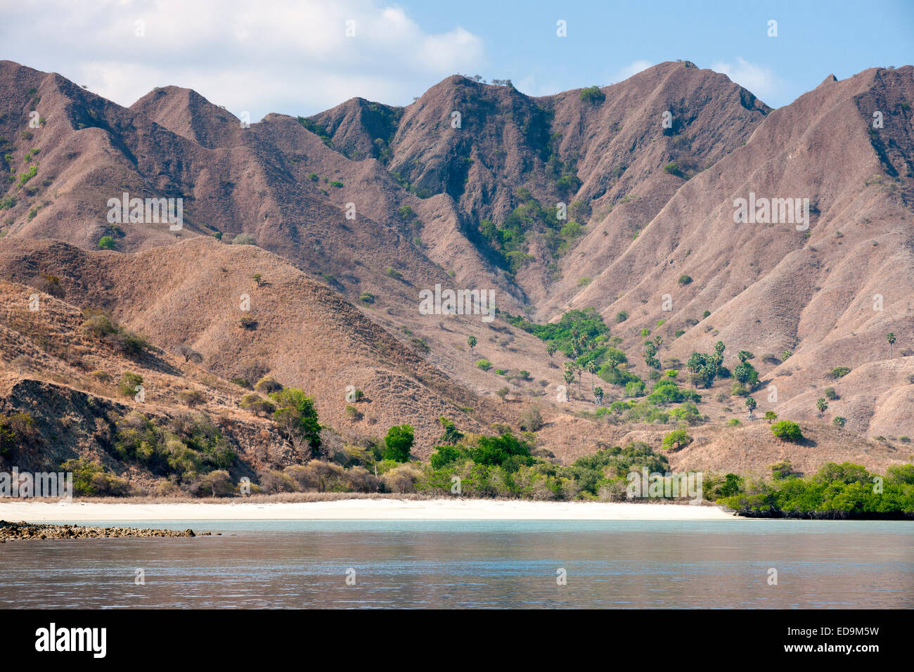 Küste von Komodo Insel, Ost-Nusa Tenggara, Indonesien. Stockfoto