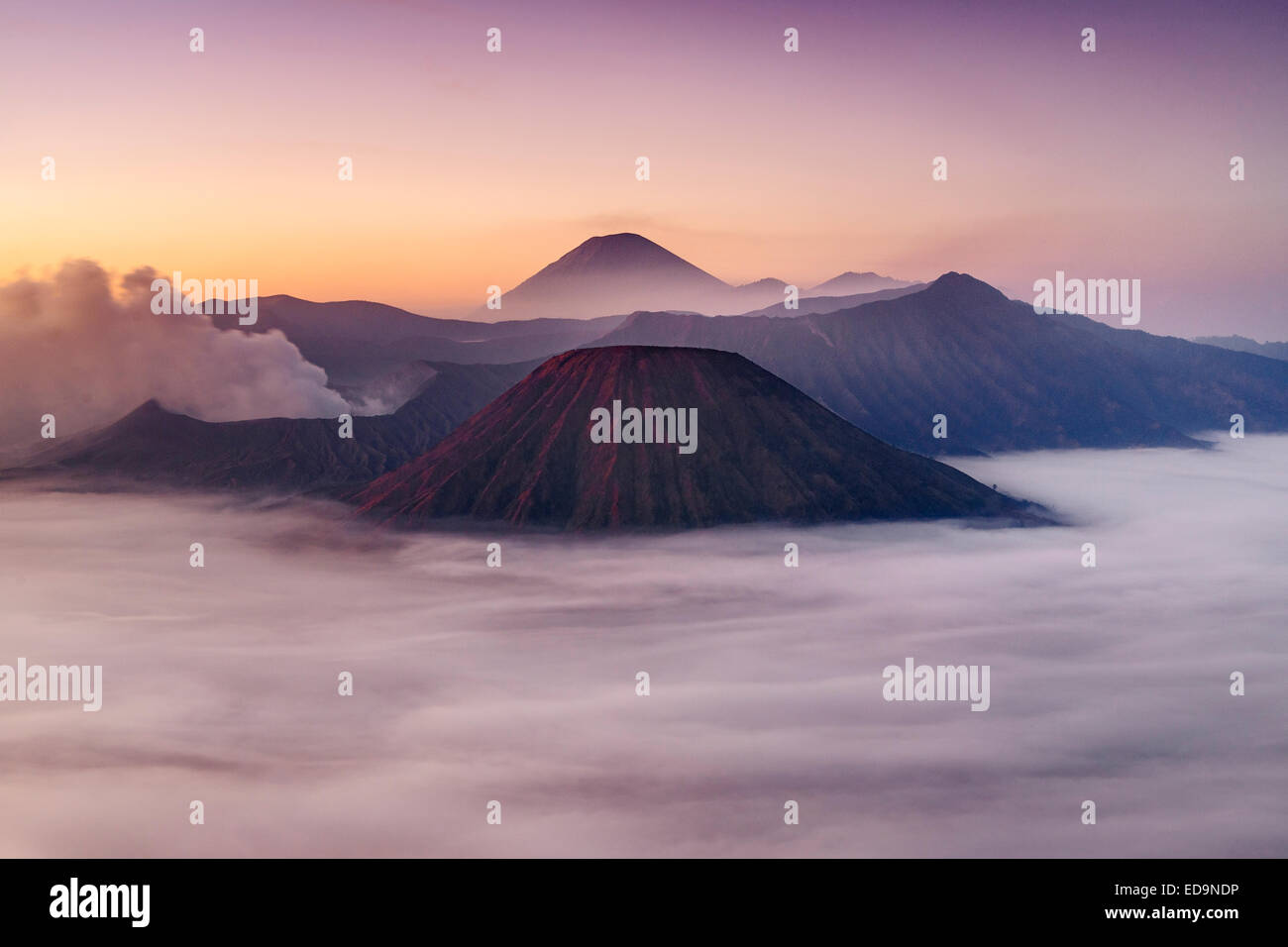 Dawn Blick auf Mount Bromo (in der Nähe von links) und Gunung Semeru (Zentrum im Hintergrund) im Nationalpark Bromo Tengger Semeru, Indonesien. Stockfoto