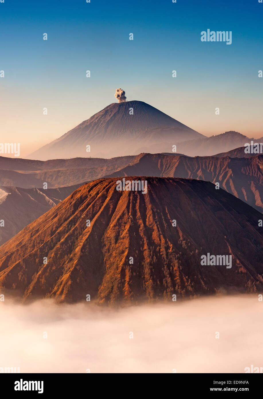 Gunung Semeru, ein aktiver Stratovulkan in Bromo Tengger Semeru National Park, Java, Indonesien. Stockfoto