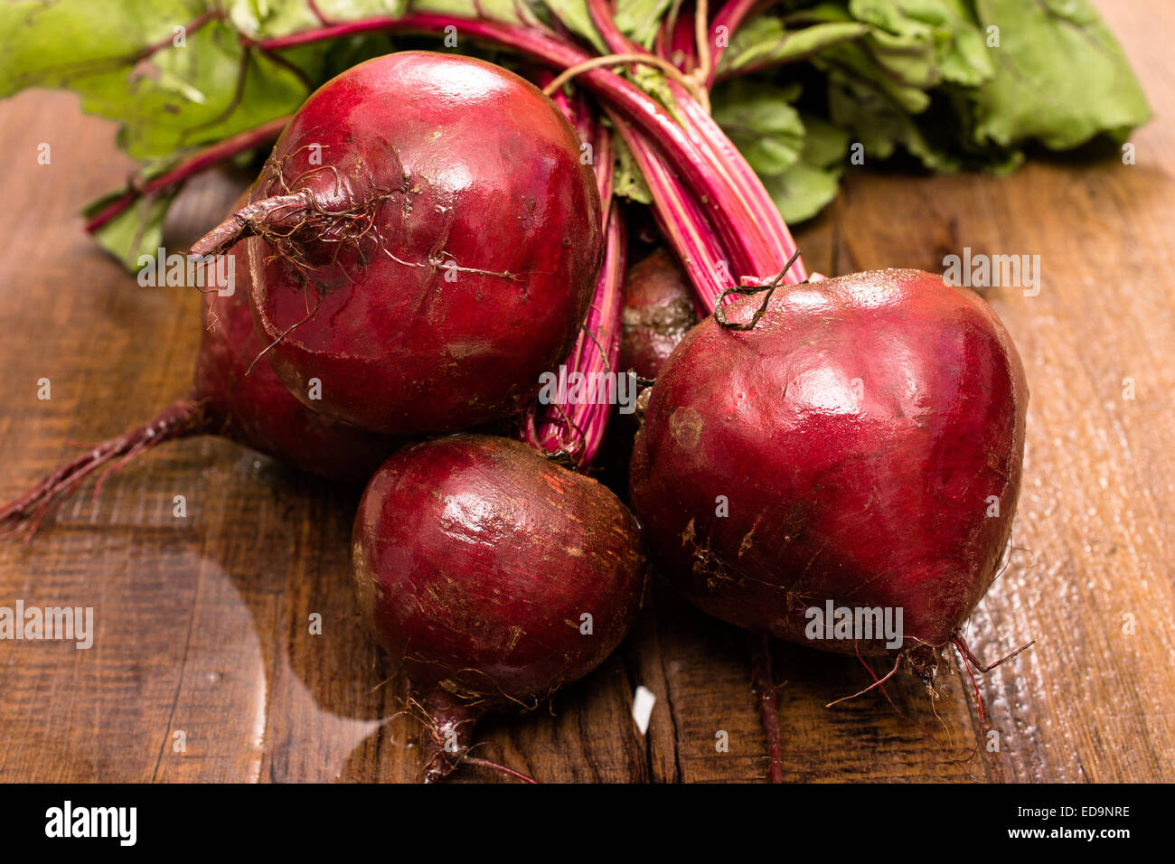 Rote Beete mit Wasser im Querformat Stockfoto