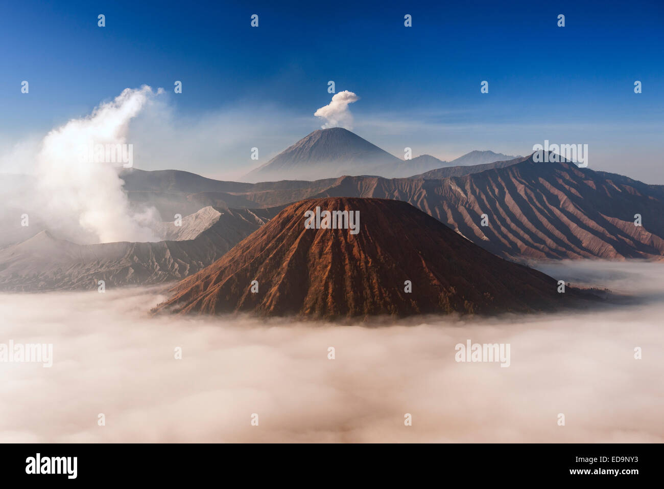 Mount Bromo (Entlüftung Dampf, links) und Gunung Semeru (Zentrum im Hintergrund) im Bromo Tengger Semeru National Park, Java, Indonesien. Stockfoto