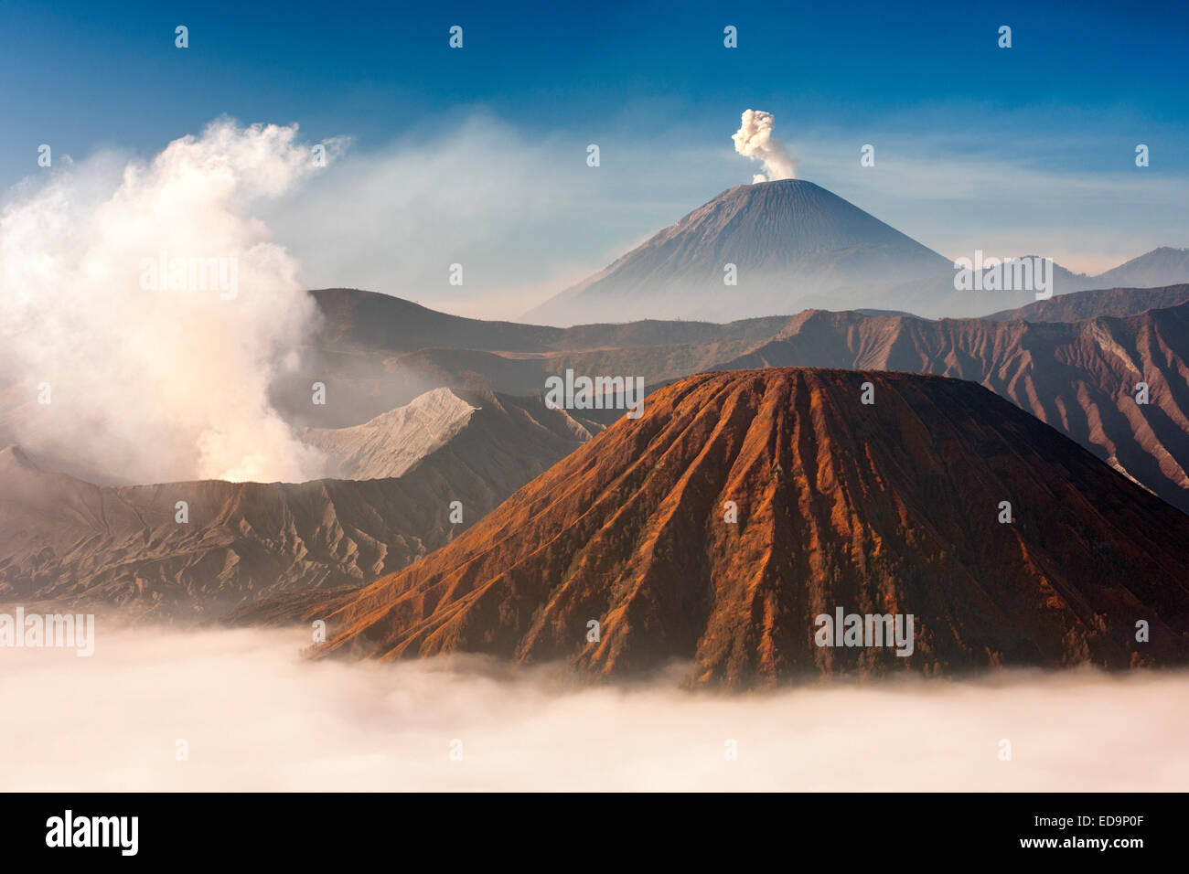 Mount Bromo (Entlüftung Dampf, links) und Gunung Semeru (Zentrum im Hintergrund) im Bromo Tengger Semeru National Park, Java, Indonesien. Stockfoto