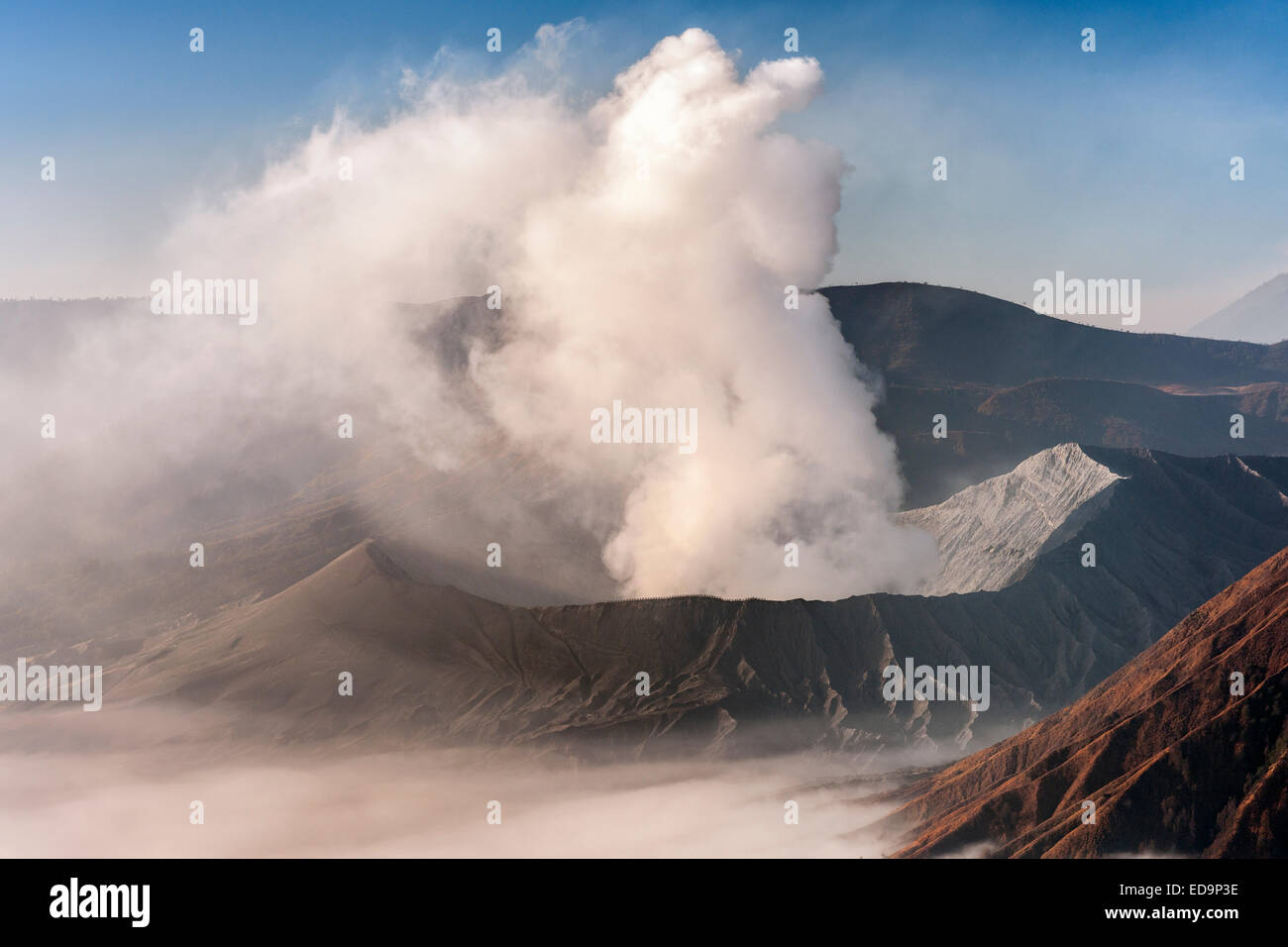 Dampf-Entlüftung von Mount Bromo Vulkan im Bromo Tengger Semeru National Park, Java, Indonesien. Stockfoto