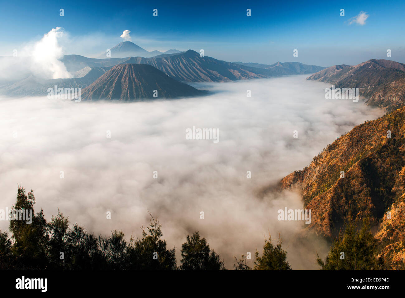 Mount Bromo (Entlüftung Dampf ganz links) und Gunung Semeru (Hintergrund) im Bromo Tengger Semeru National Park, Java, Indonesien. Stockfoto