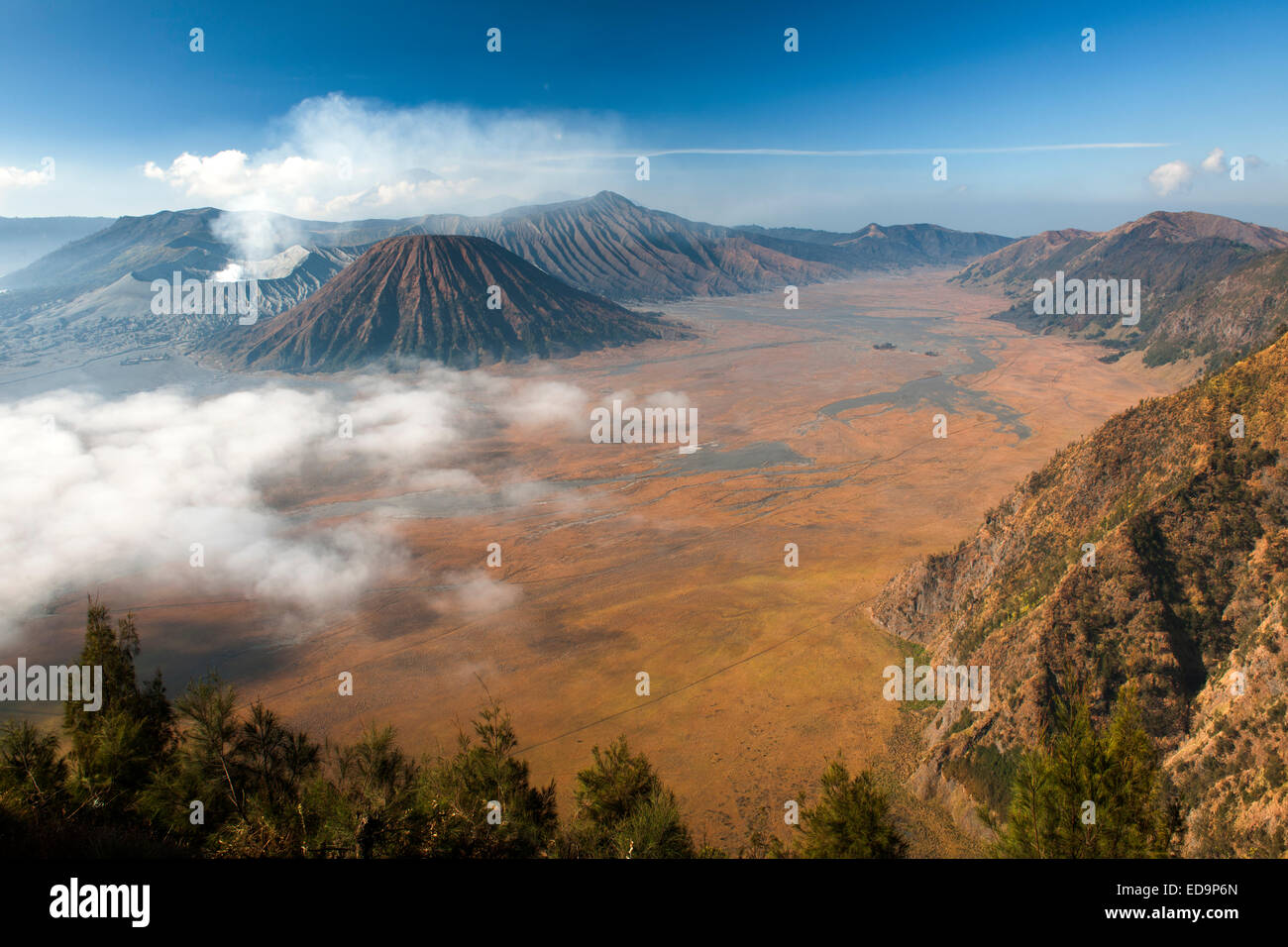 Mount Bromo (Entlüftung Dampf ganz links) und Gunung Semeru (Hintergrund) im Bromo Tengger Semeru National Park, Java, Indonesien. Stockfoto