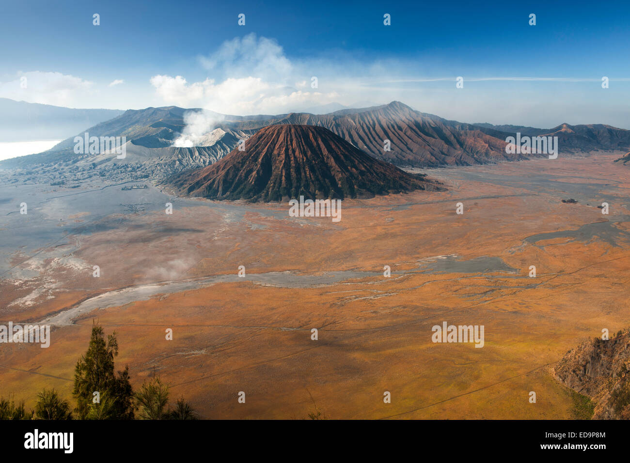 Mount Bromo (Entlüftung Dampf ganz links) und Gunung Semeru (Hintergrund) im Bromo Tengger Semeru National Park, Java, Indonesien. Stockfoto
